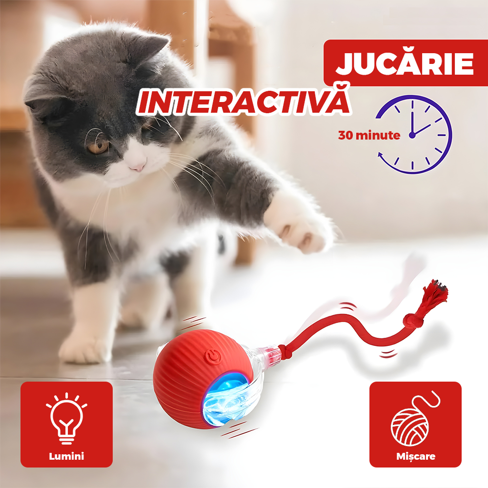Jucarie Interactiva Smart pentru Pisici